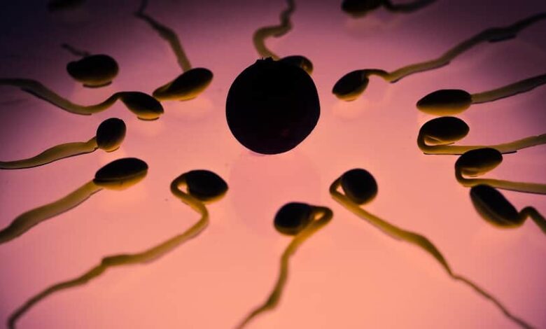 Filhos do falecido contestam decisão que permitiu que a ex-esposa do pai realizasse a fertilização.(Imagem: Pxhere)